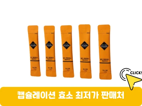 캡슐레이션-효소-가격