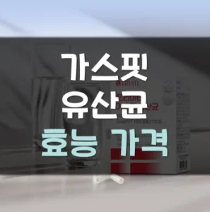 Read more about the article 가스핏 유산균 효능 가격 후기