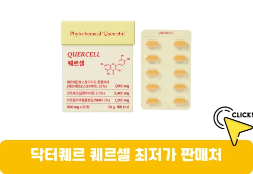 닥터퀘르-퀘르셀-가격