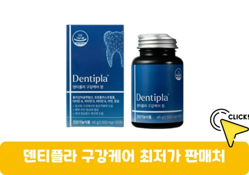 덴티플라-구강케어-정-가격