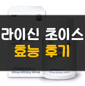 Read more about the article 라이신 초이스 효능 후기 가격