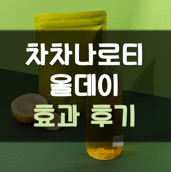 Read more about the article 차차나로티 올데이 내돈내산 후기 효과