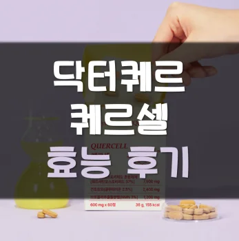 Read more about the article 닥터퀘르 퀘르셀 후기 효능 가격