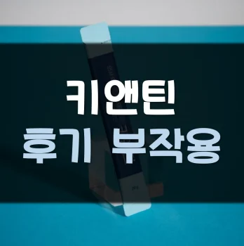 Read more about the article 키앤틴 후기 부작용 효과