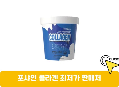 포샤인-콜라겐-가격