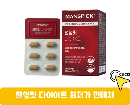 혈행핏-다이어트-가격