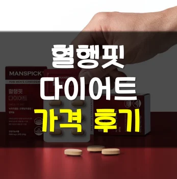 Read more about the article 혈행핏 다이어트 후기 가격 효과