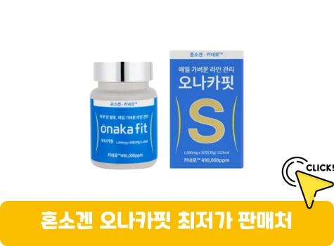 혼소겐-오나카핏-가격
