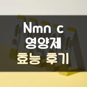 Read more about the article nmn c 영양제 효능 부작용 후기 추천
