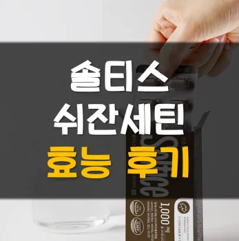 솔티스-쉬잔세틴-후기