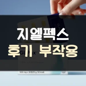 Read more about the article 지엘펙스 후기 부작용 효과