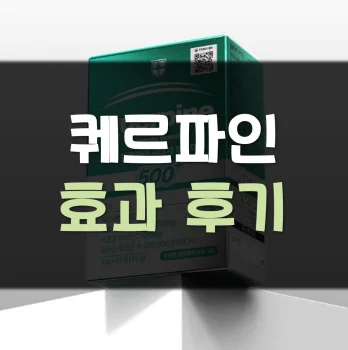 퀘르파인-후기