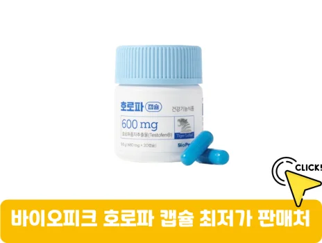 호로파-캡슐-가격