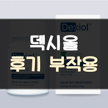 덱시올-내돈내산-후기