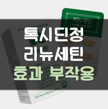 톡시딘정-후기