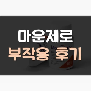 마운제로-내돈내산-후기