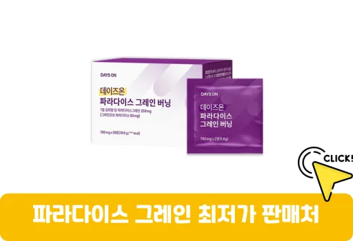 파라다이스-그레인-가격