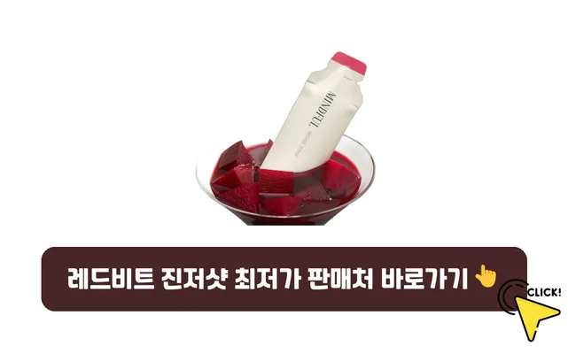 레드비트 진저샷-가격