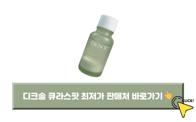 디크솔 큐라스팟-가격