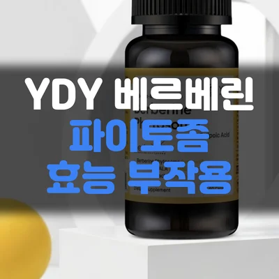 YDY 베르베린-파이토좀