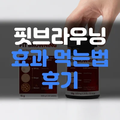 핏브라우닝-후기
