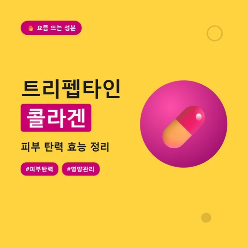 트리펩타인 콜라겐-효능