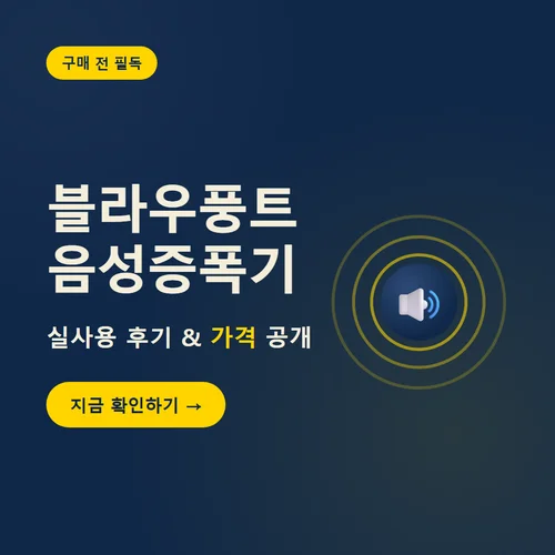 블라우풍트 음성증폭기-후기