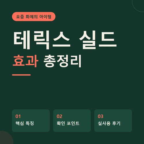 테릭스 실드-효과