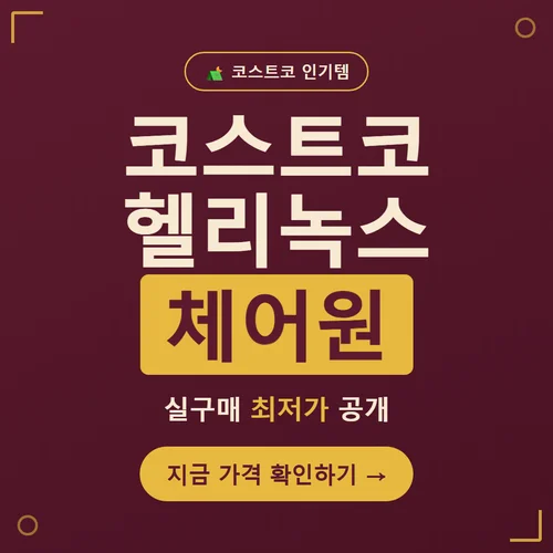 코스트코 헬리녹스 체어원-가격