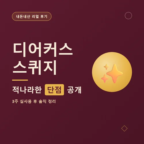 디어커스 스퀴지-후기