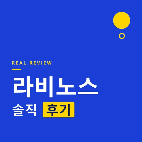 라비노스-후기
