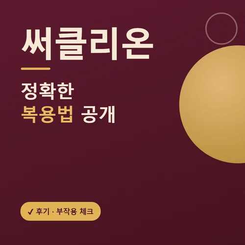 써클리온-후기