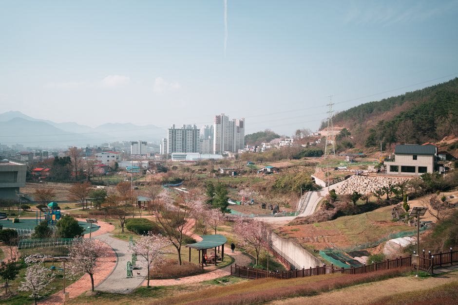 가족과 아이들이 에코팜 테마파크 꽃밭에서 즐거운 시간을 보내는 모습