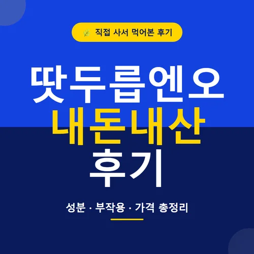 땃두릅엔오 내돈내산 후기-[성분