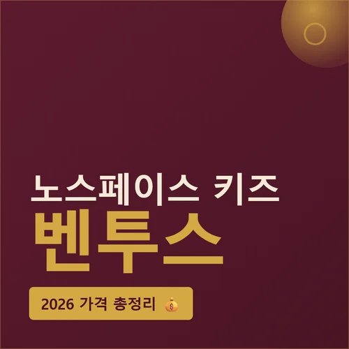 노스페이스 키즈 벤투스-가격