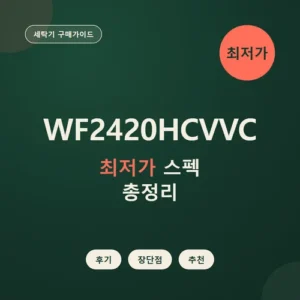 Read more about the article WF2420HCVVC 가격, 24kg 크기와 단점 정리