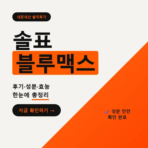솔표 블루맥스-후기