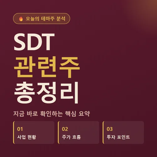 SDT 관련주