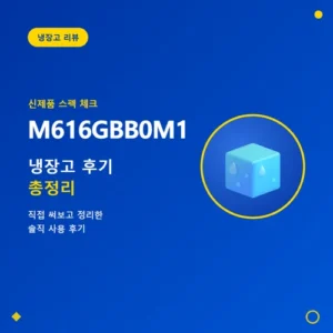Read more about the article M616GBB0M1 가격, 380:229 용량 배분 확인