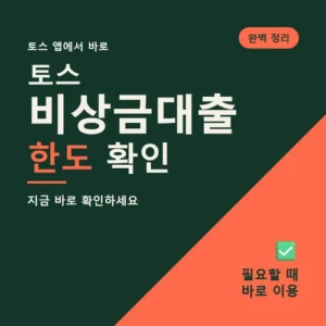 Read more about the article 토스 비상금대출 거절사유 정리, 승인확률 높이는 법