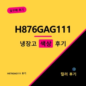Read more about the article H876GAG111 가격, 색상·용량 배분부터 체크