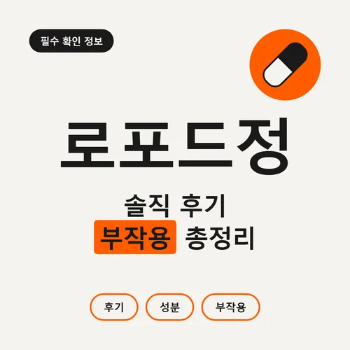 로포드정-후기