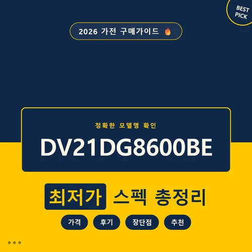 DV21DG8600BE-가격