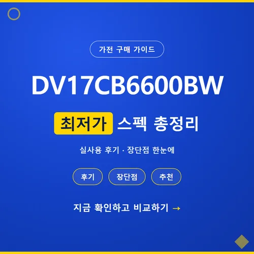 DV17CB6600BW-가격