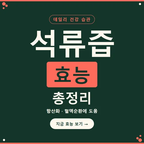 석류즙-효능