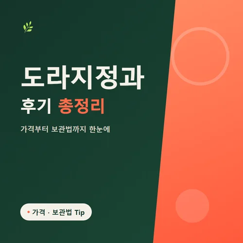 도라지정과-후기