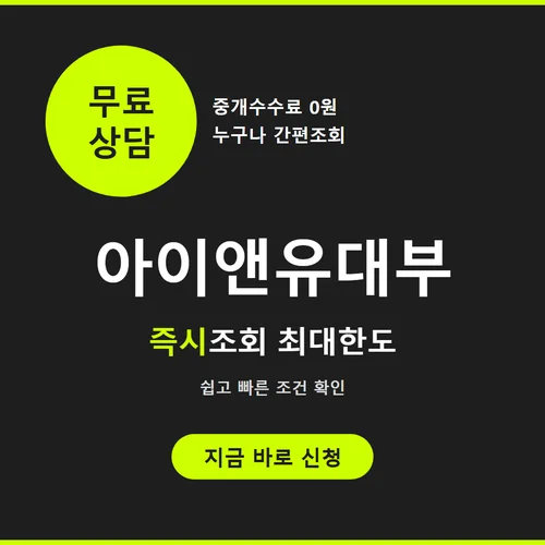 아이앤유대부
