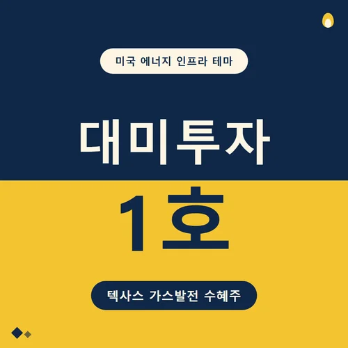 대미투자 1호-텍사스