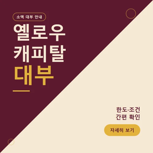 옐로우캐피탈대부