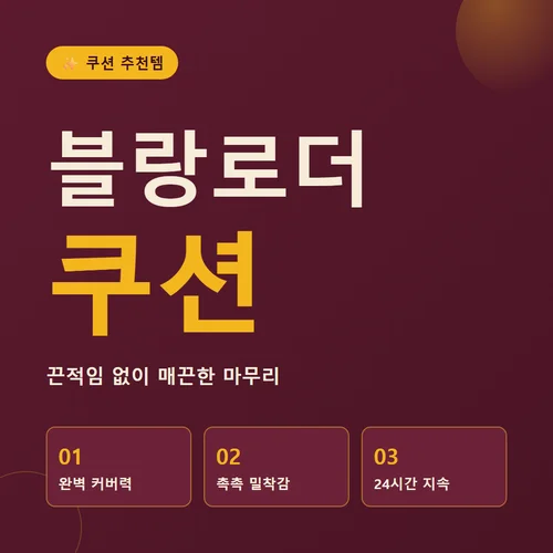 블랑로더 쿠션